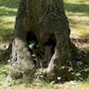 Meet your Posher, Brianna_bruvv